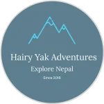 Hairy Yak